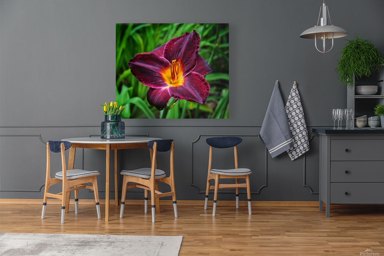 Purple Lilly Reproduction