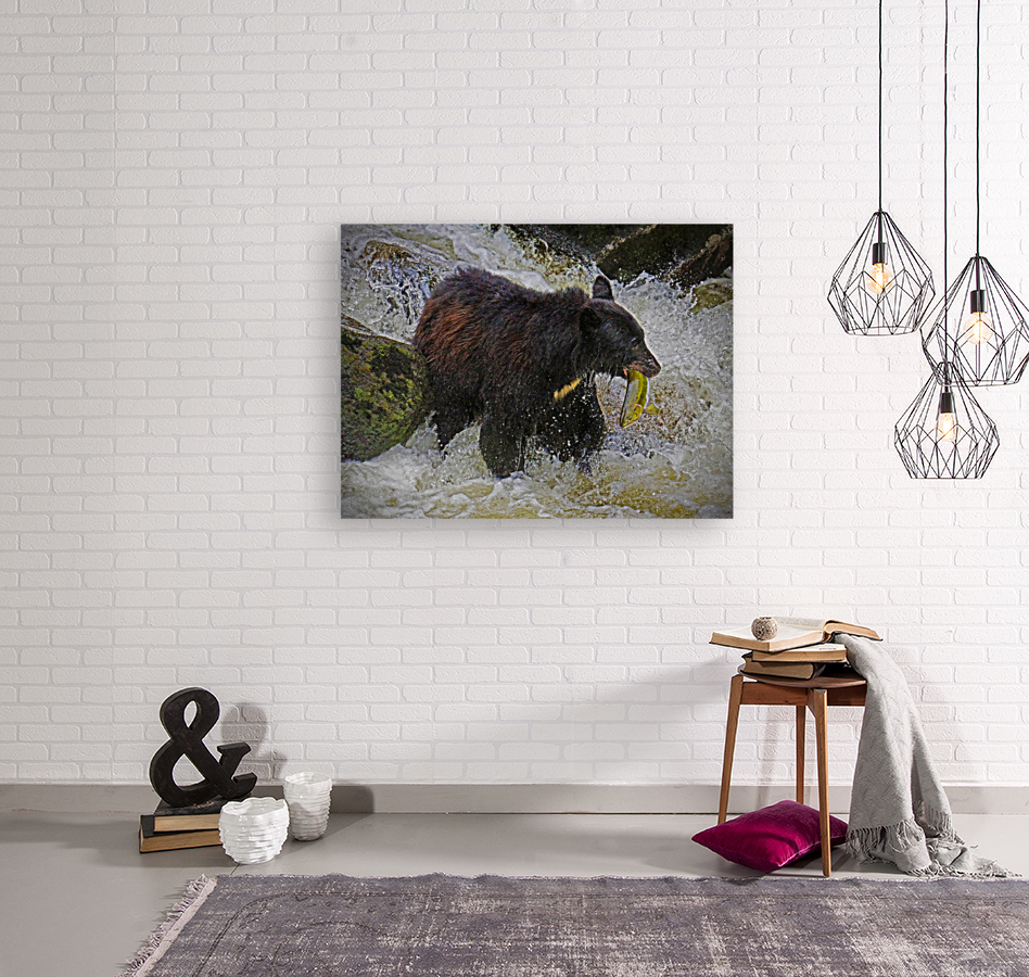 Salmon fishing Reproduction