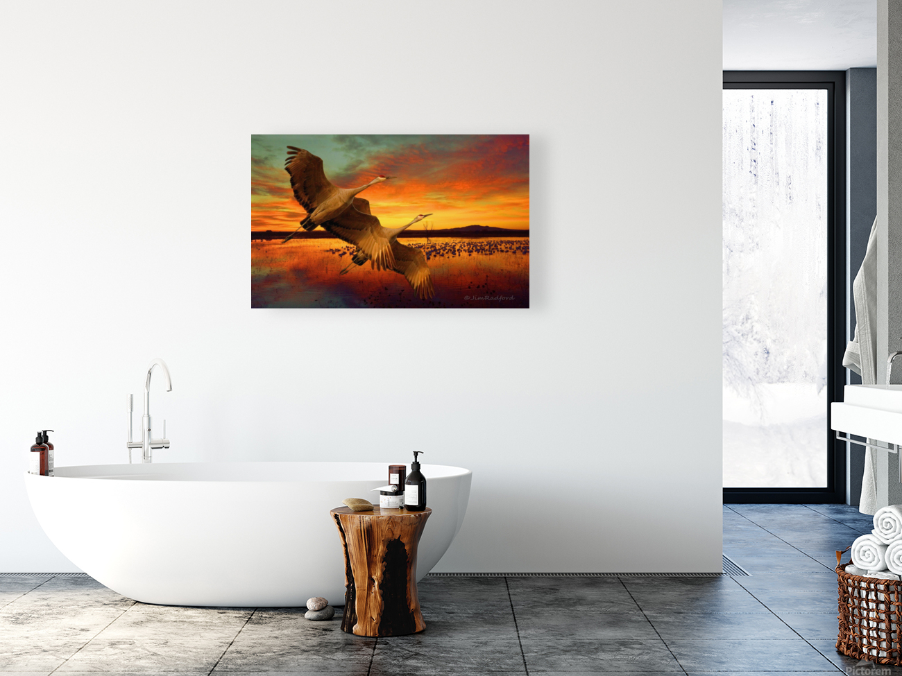 Sandhill Cranes at the Bosque Reproduction