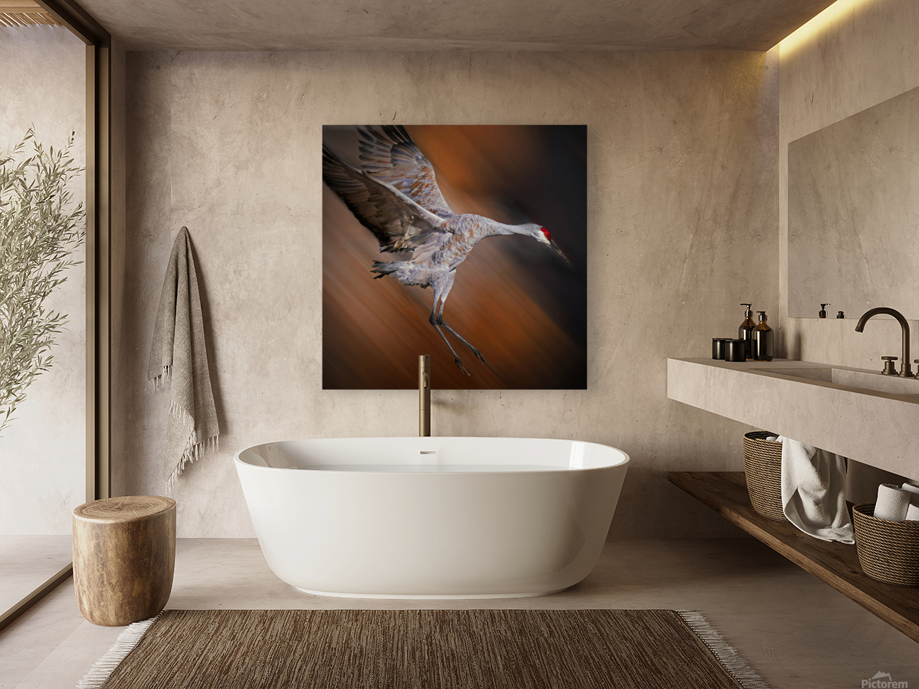 Sandhill in-flight motion Reproduction