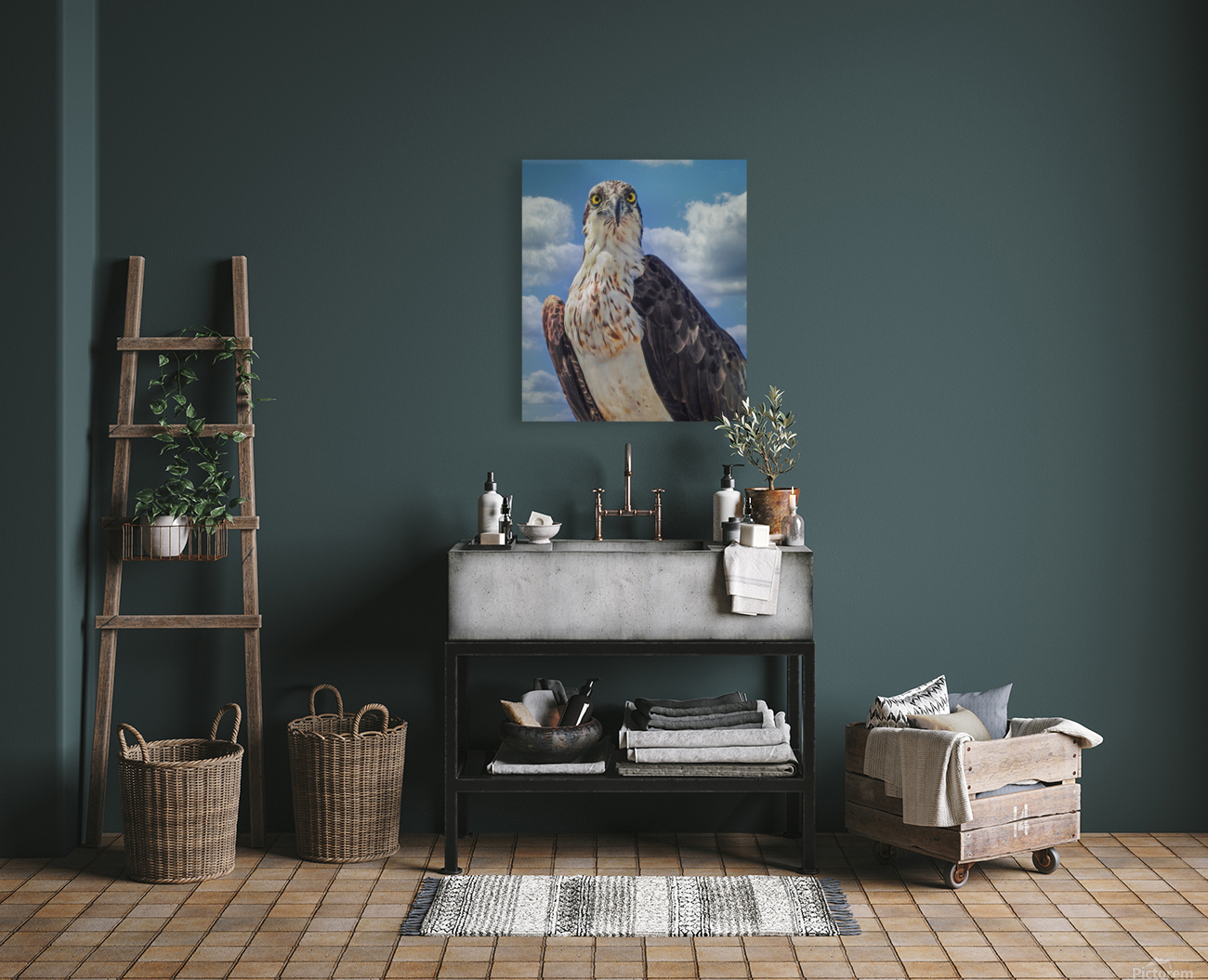 Osprey posing Reproduction