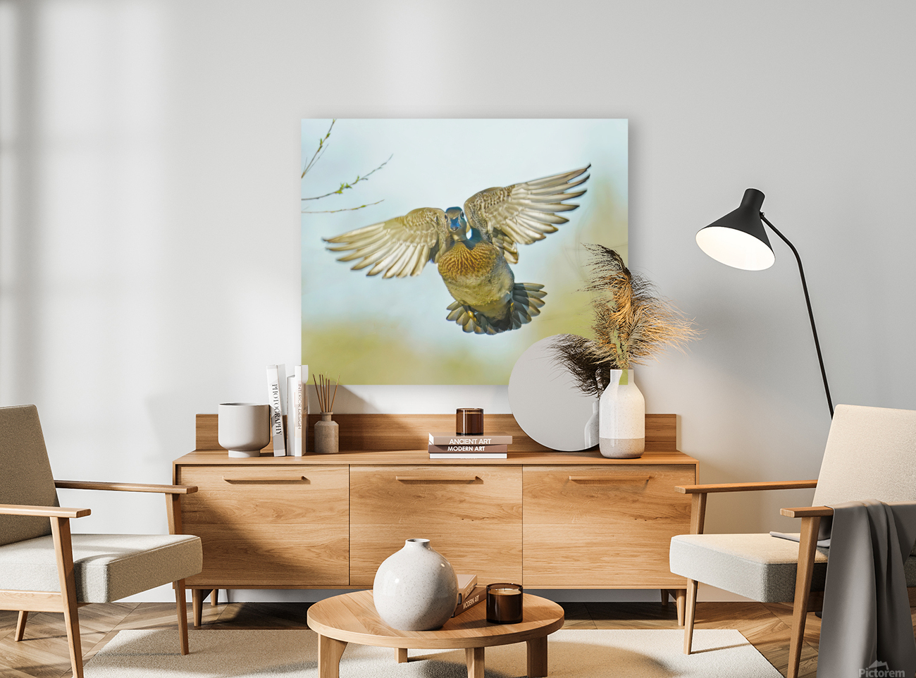 Colorful Wood duck landing Reproduction