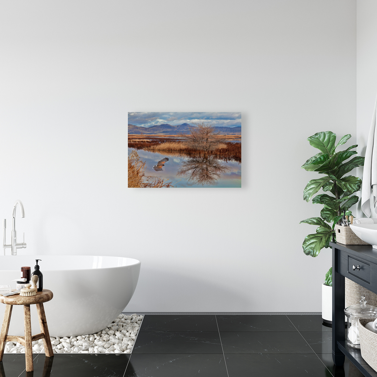  Klamath Refuge Hawk Reproduction