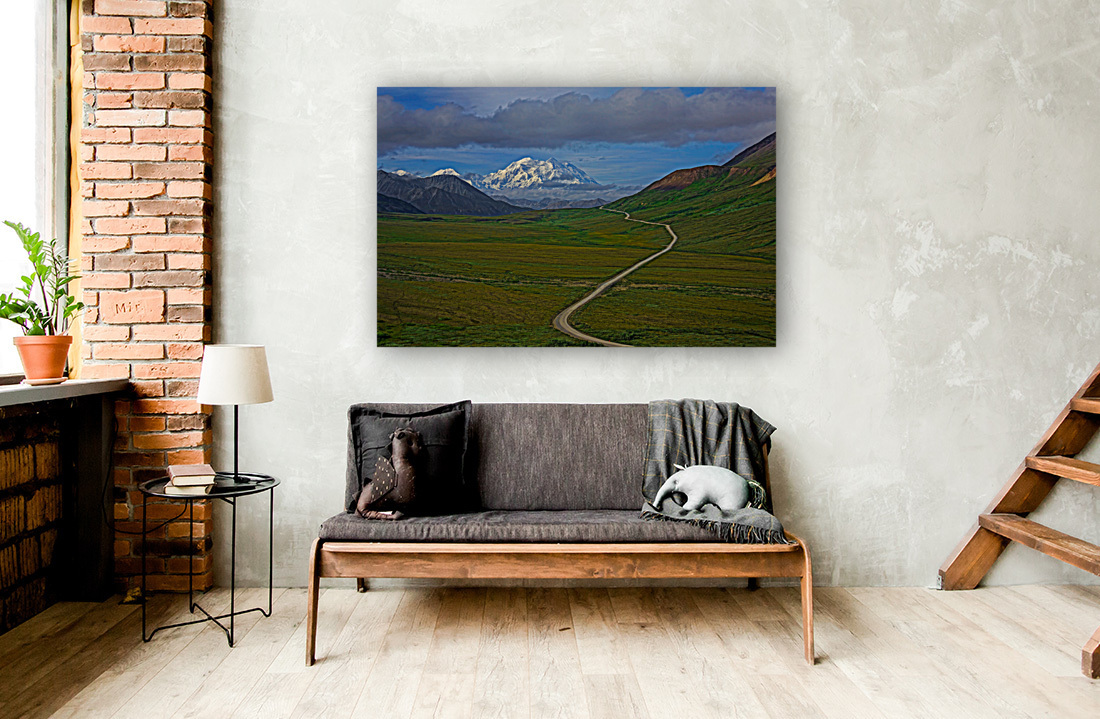 Denali park road Reproduction