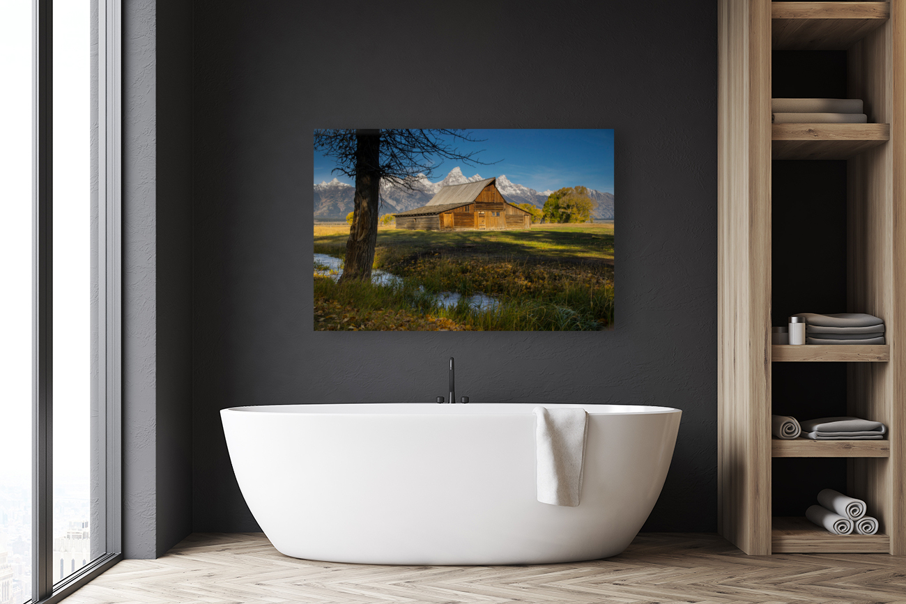 Abandoned Mormon Row Reproduction