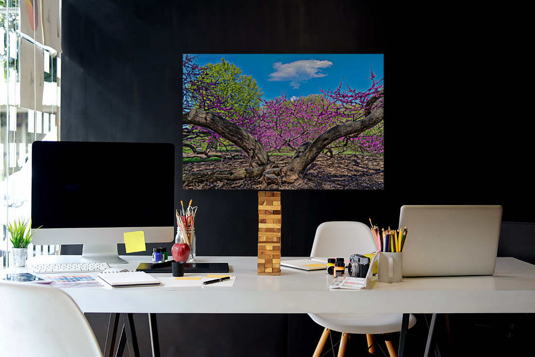 Eastern Redbud Reproduction