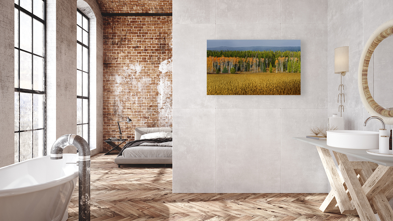 Aspen on display Reproduction