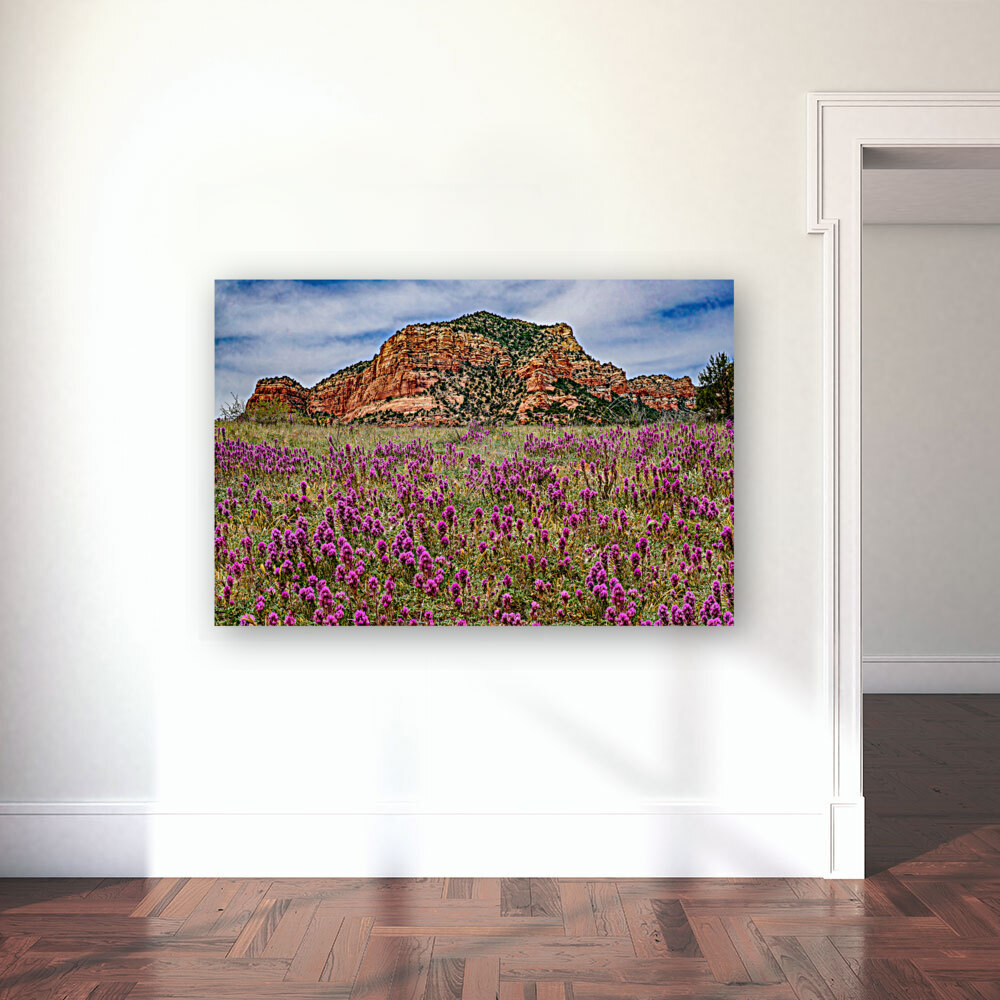 Owls Clover in Sedona Reproduction