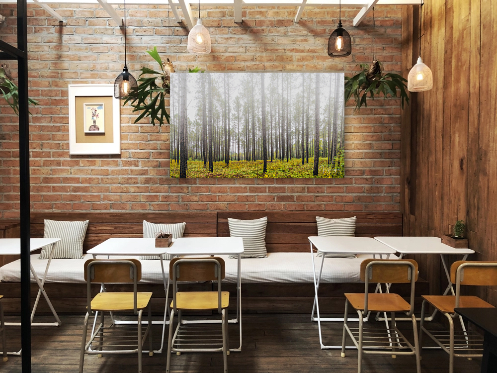 Morning mist near Lutsen Reproduction