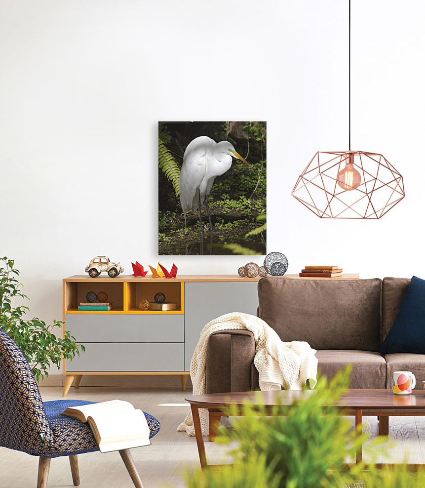 Egret in the Everglades Reproduction