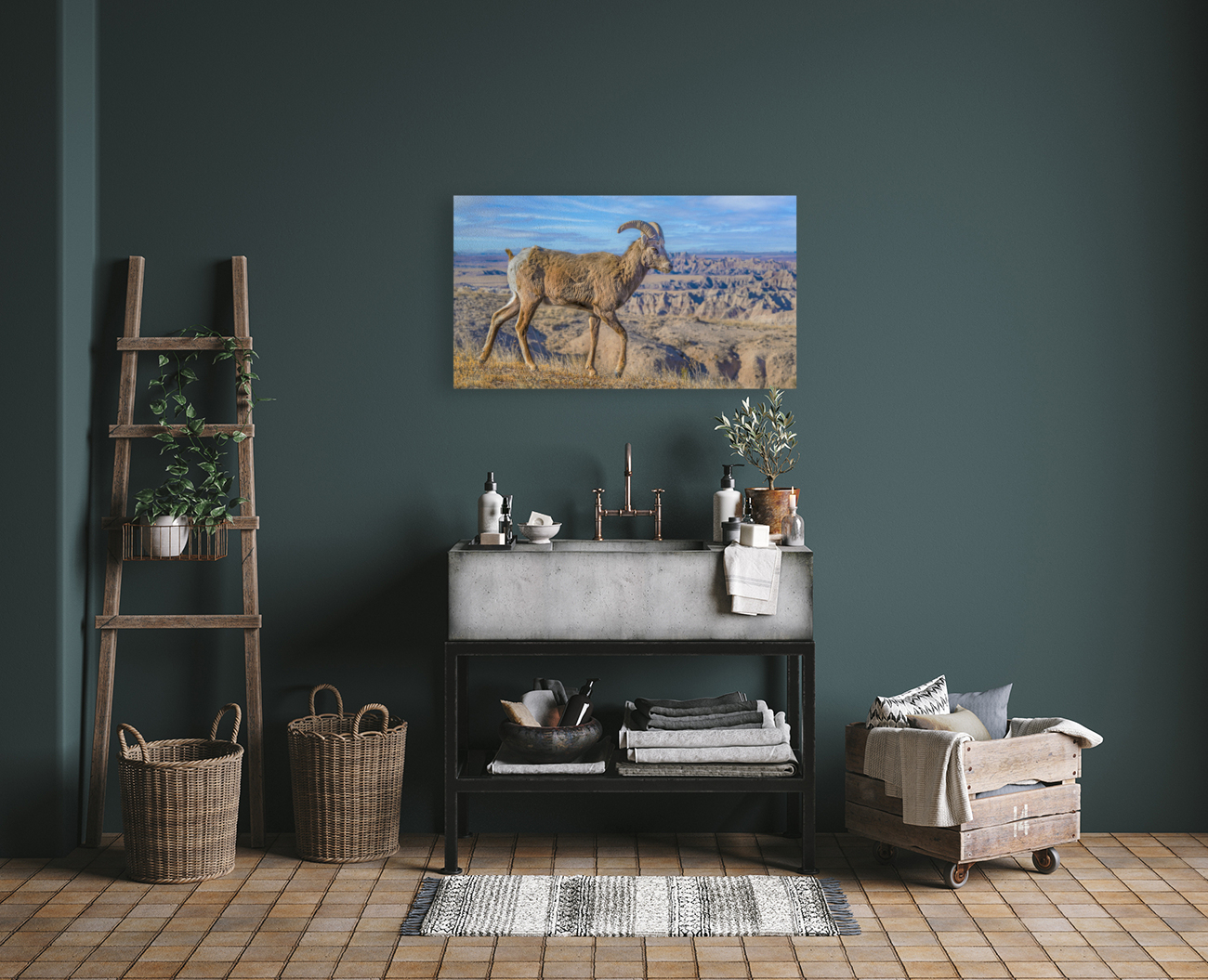 Badlands bighorn sheep Reproduction