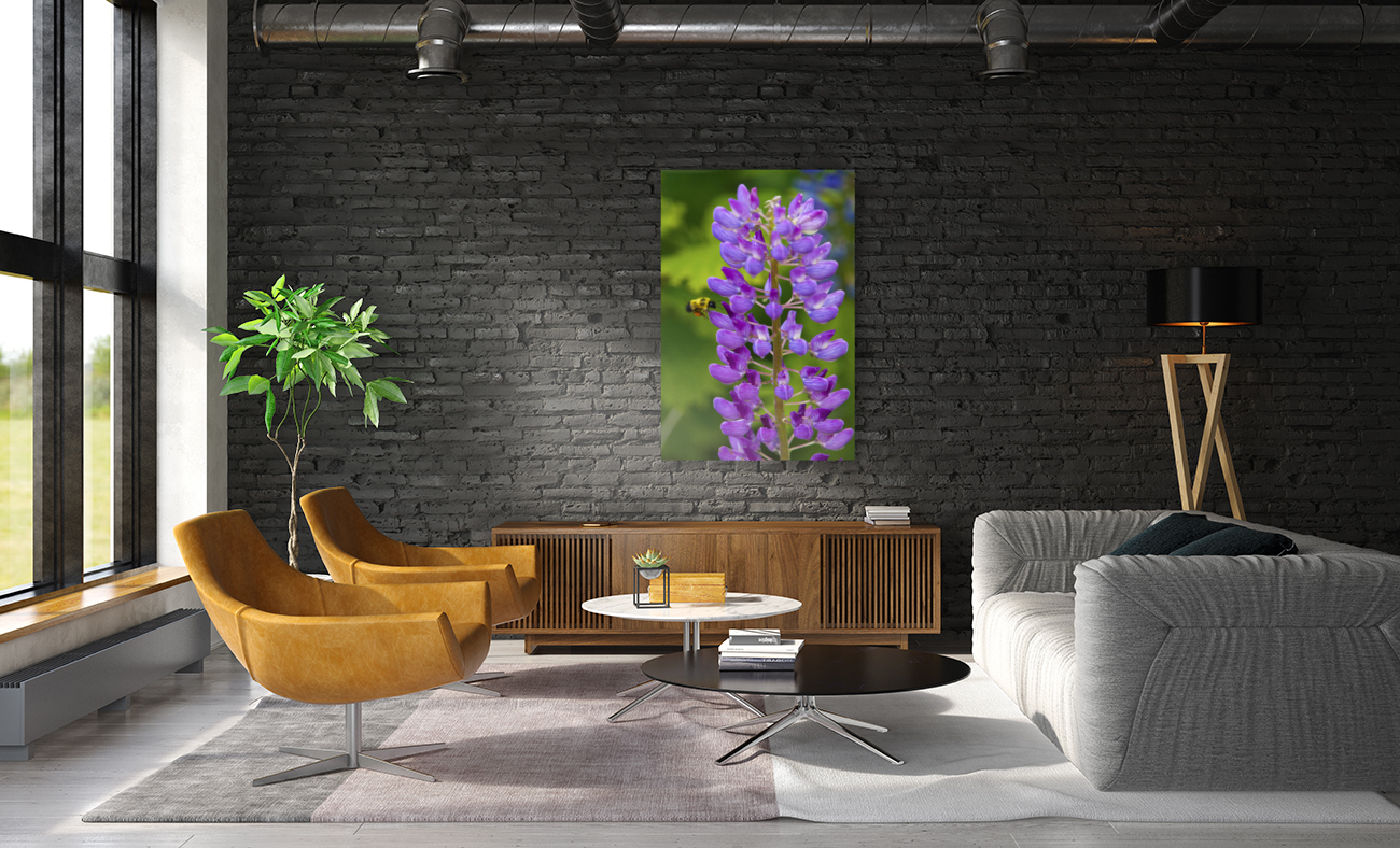 Bee on a lupin Reproduction