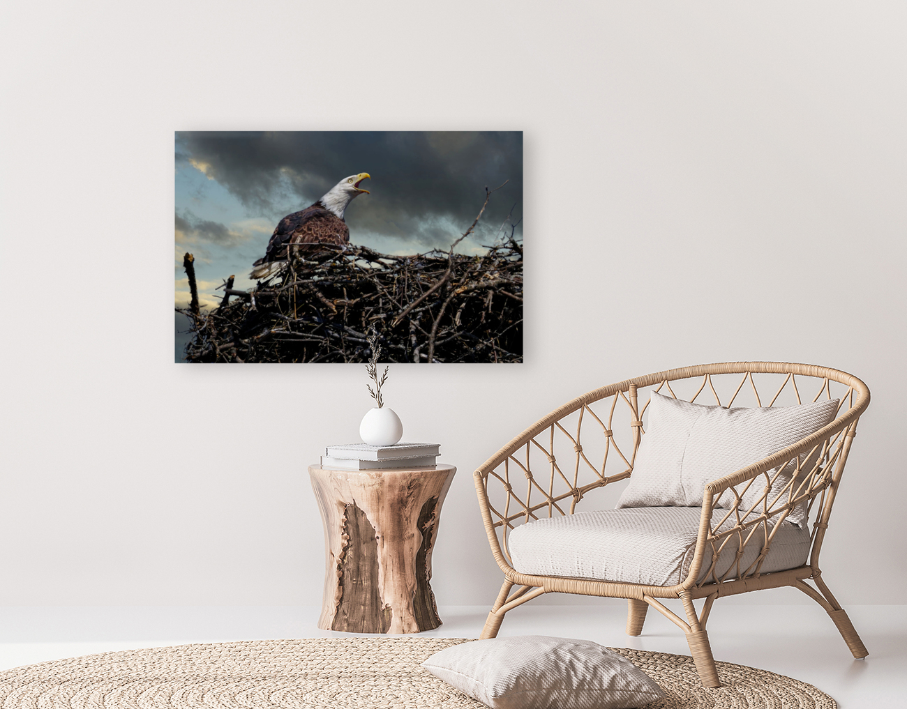 Eagle on nest Reproduction