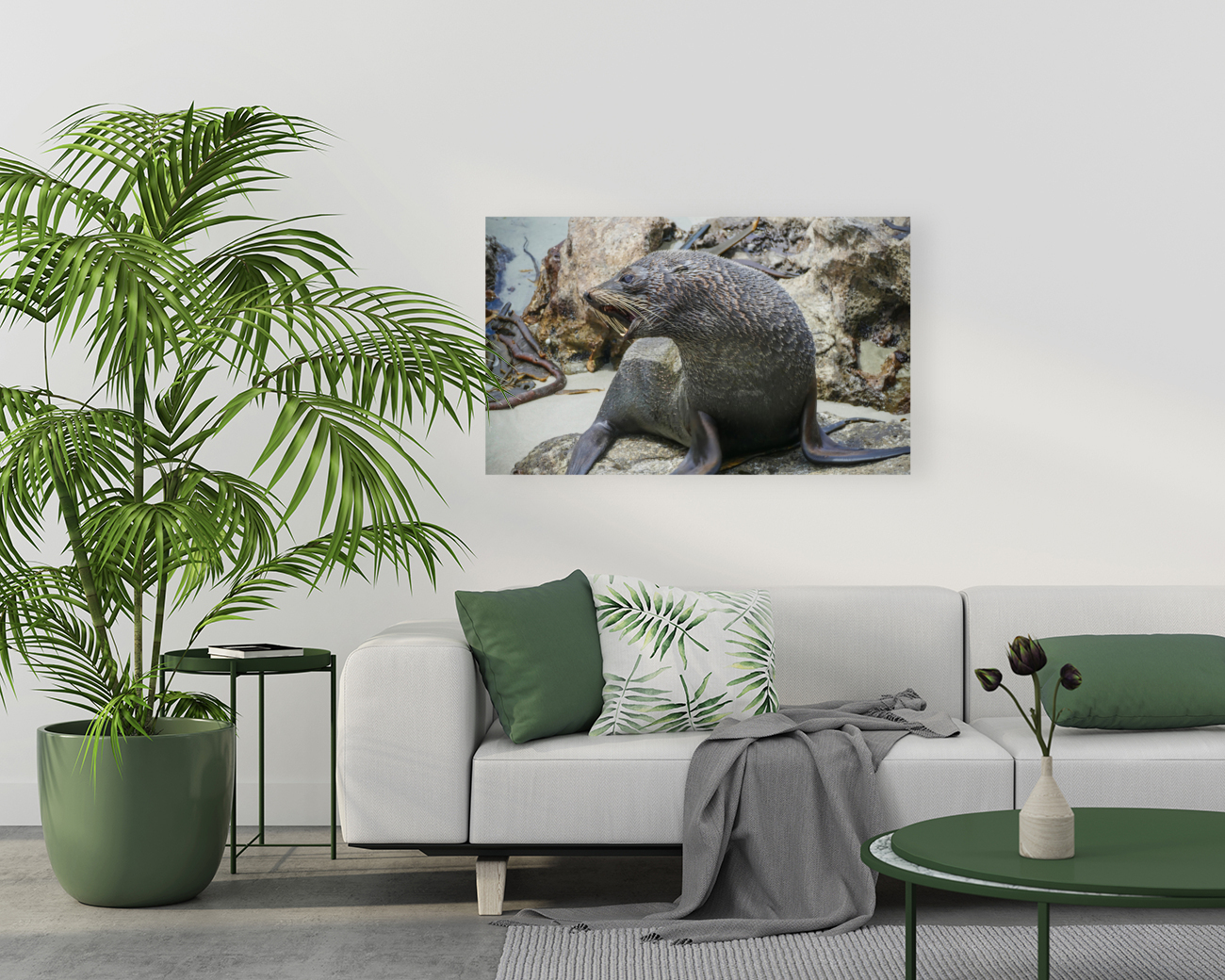 New Zealand fur seals Reproduction