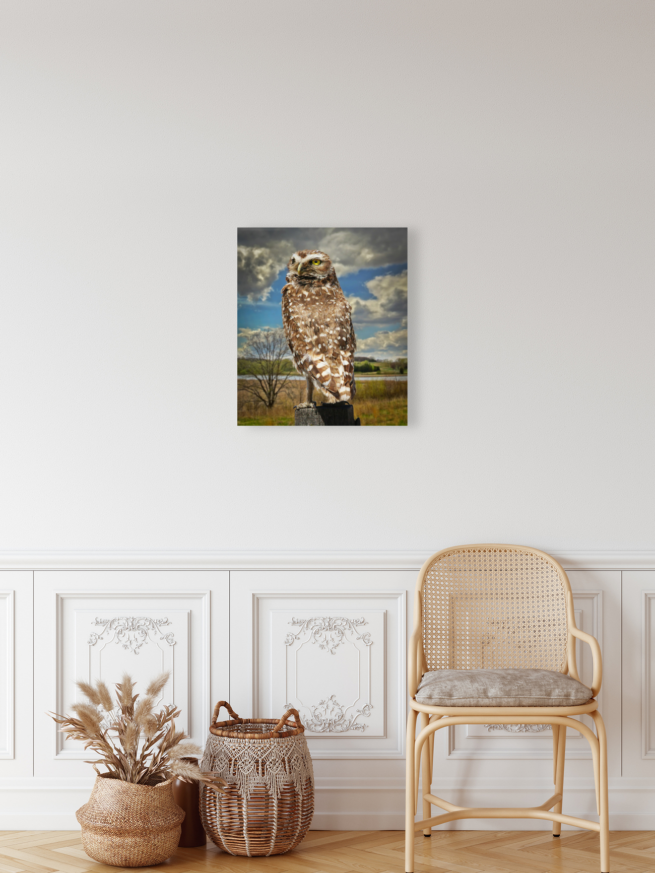 Pygmy Owl Reproduction