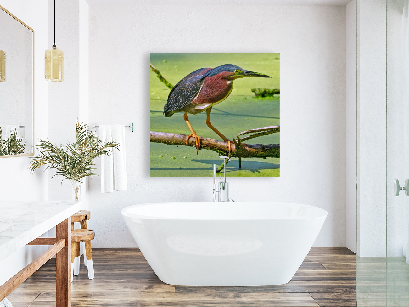 Green Heron  Reproduction