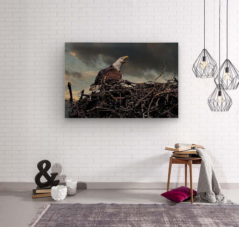 Eagle on nest  Wood print