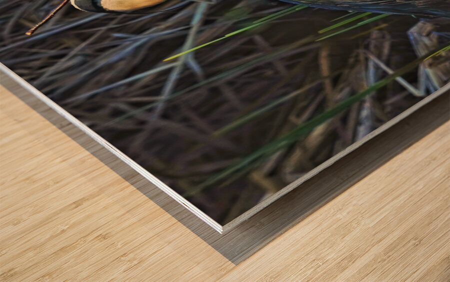 Heron in the morning Wood print