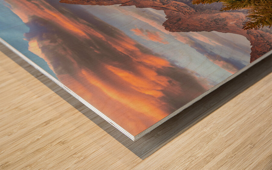 Moose in the Morning Wood print