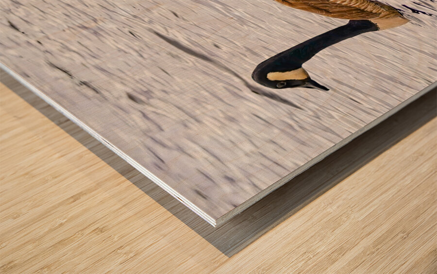 Swimming lessons Wood print