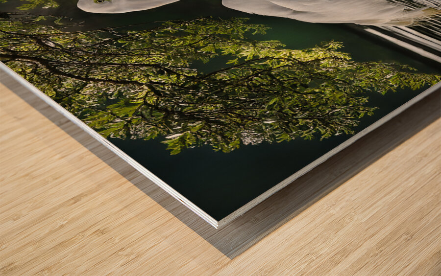 Just lunch  Wood print