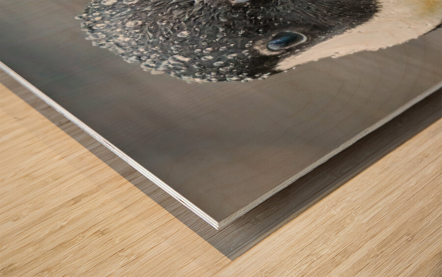 No sweat  Wood print