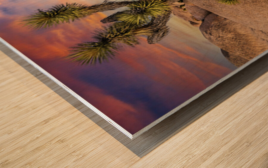 Joshua tree landscape Wood print