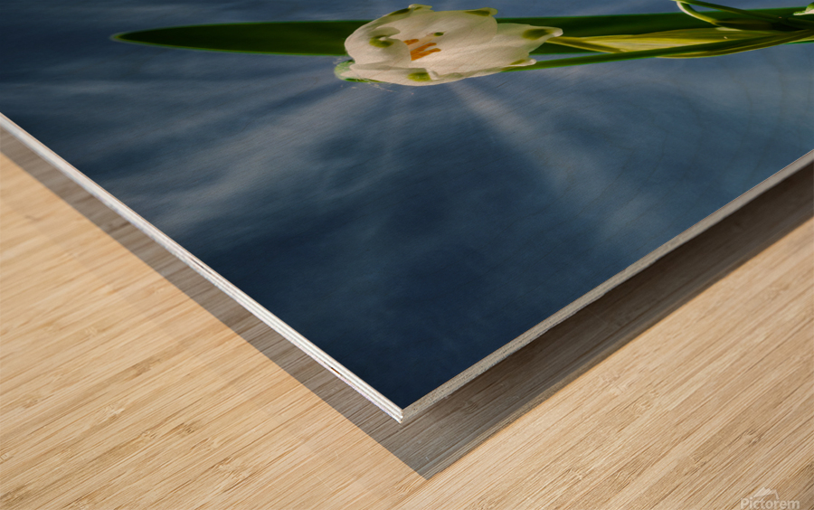 Flower bells are ringing Wood print