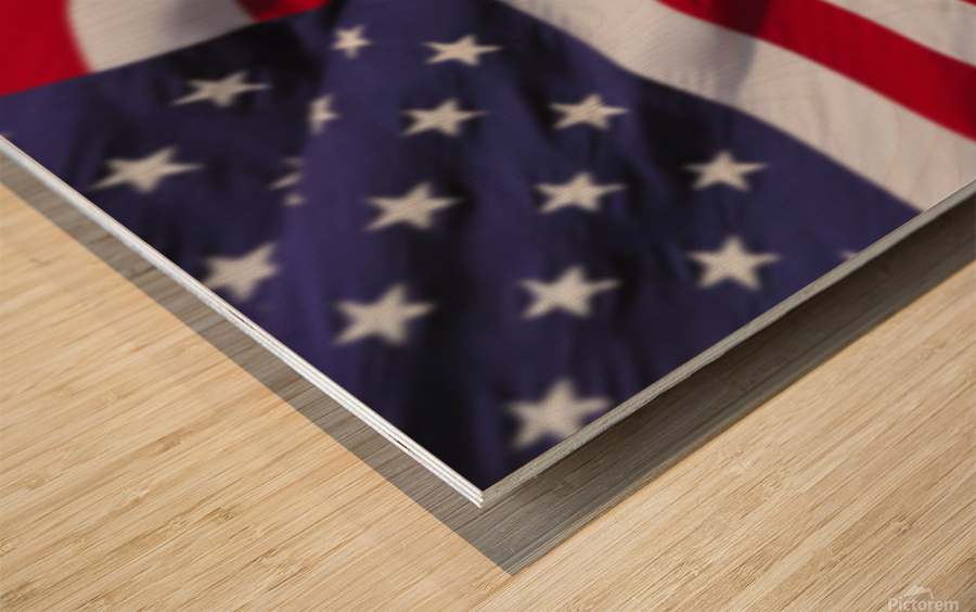 Proud Bird Wood print