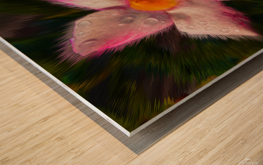 Hair of the Mandevilla Wood print