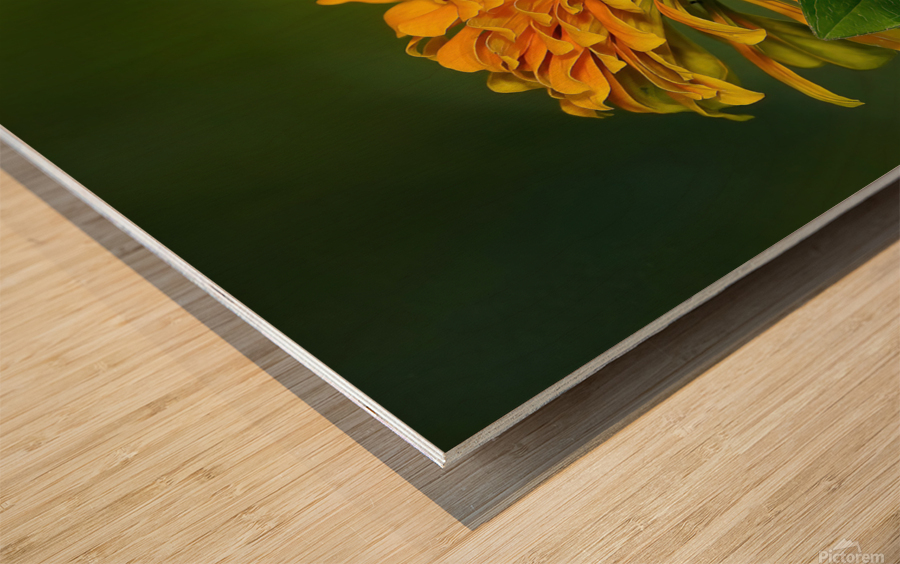 Hummer seeks the nectar Wood print