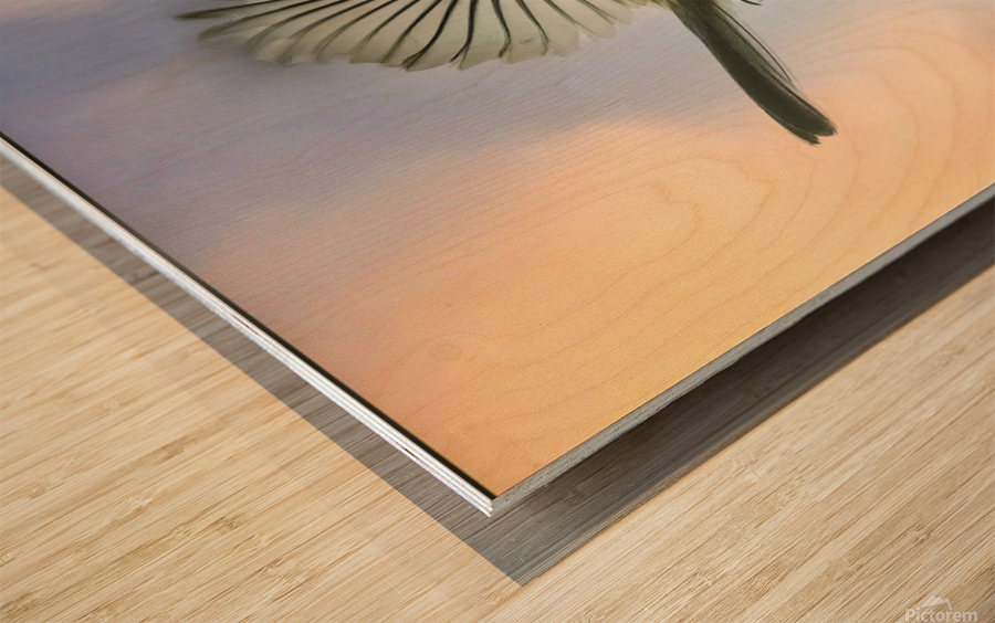 Chickadee on the wing Wood print