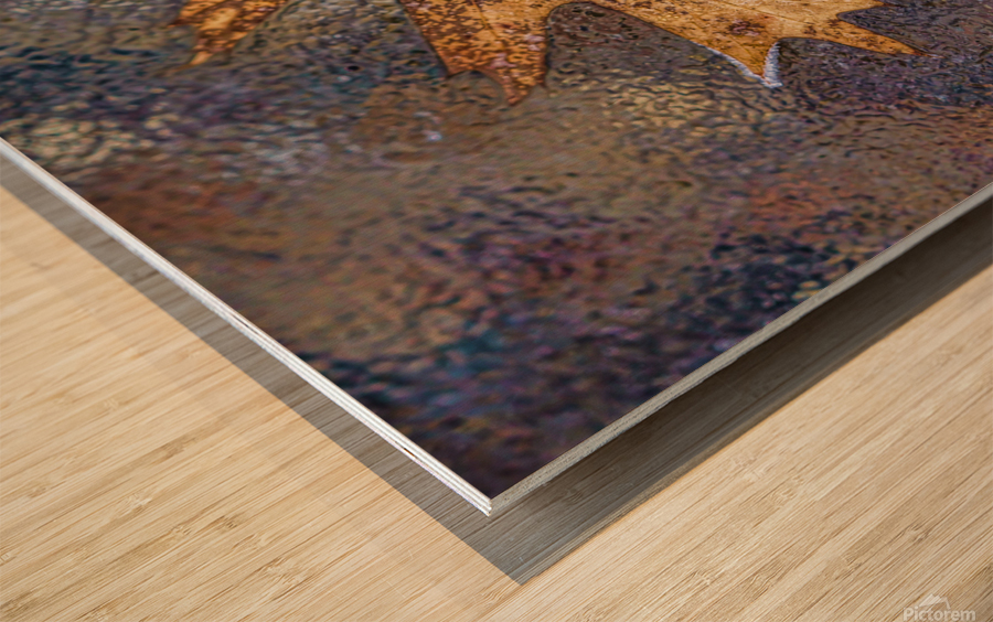 Oakleaf on ice Wood print