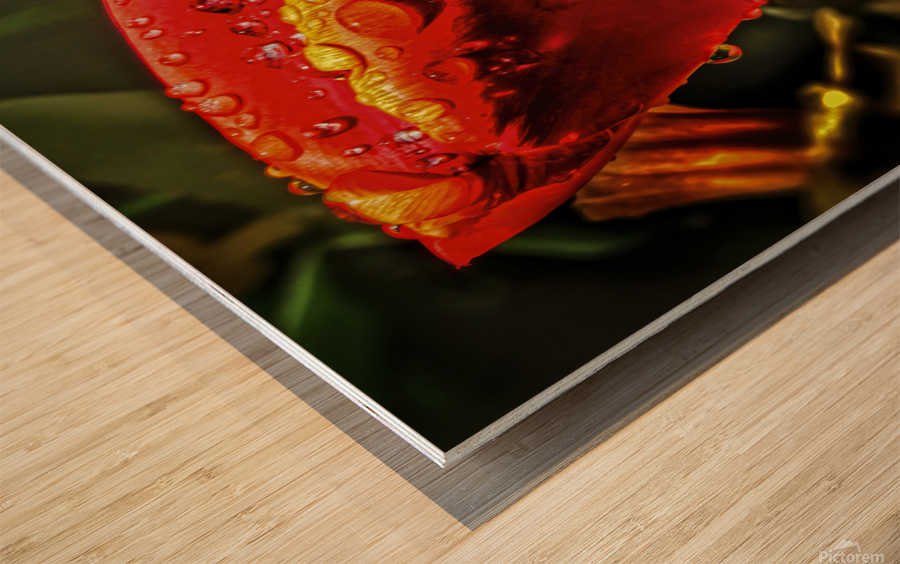 1382 Kuchenhof Wood print