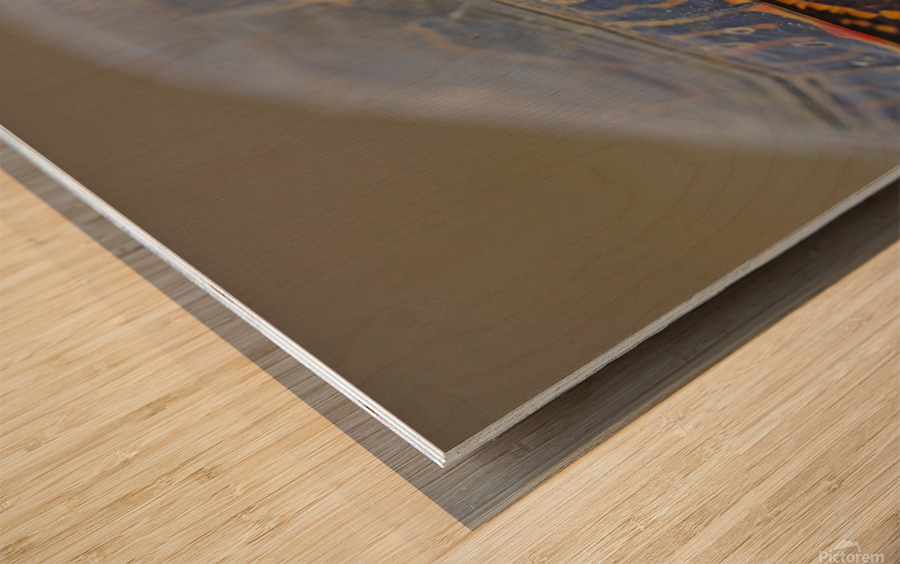 PaintedTurtle Wood print