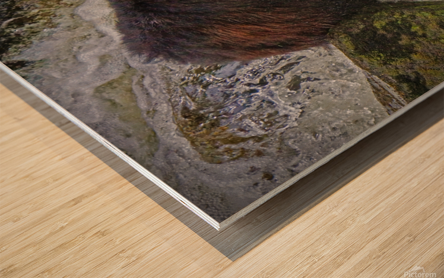 Salmon fishing Wood print