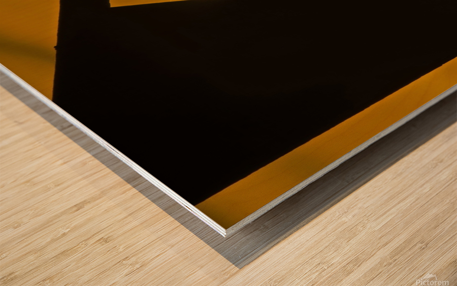 Tree Swallow Wood print