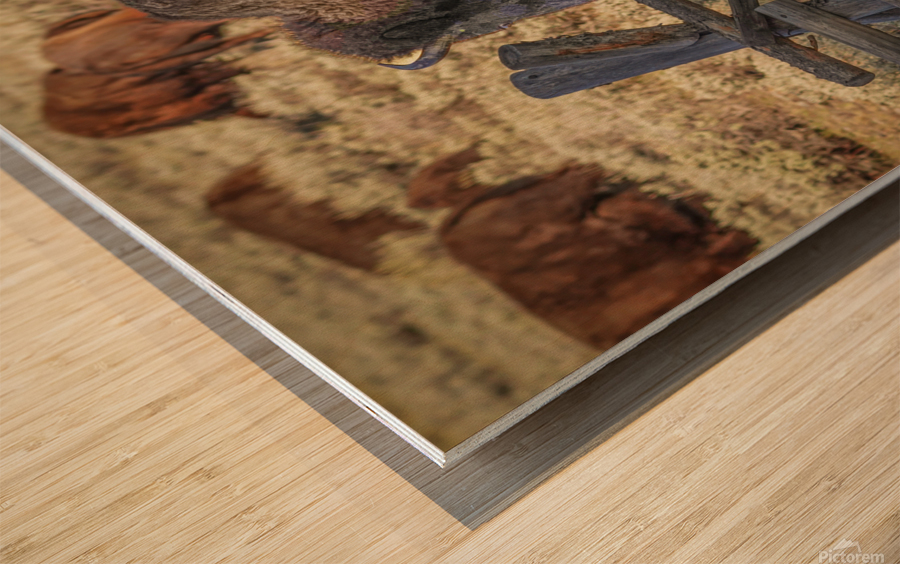 Bison leaping Wood print