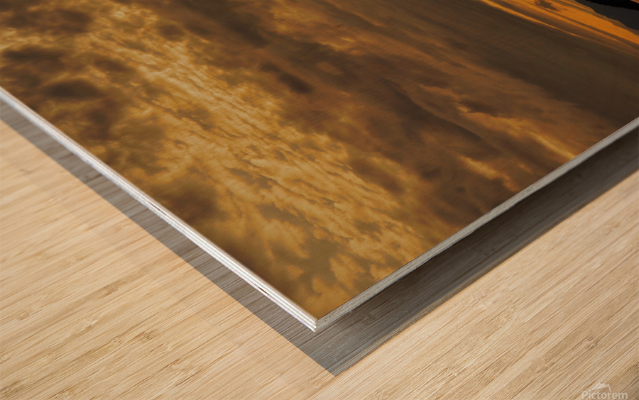 Sandhill cranes over Alaska Wood print