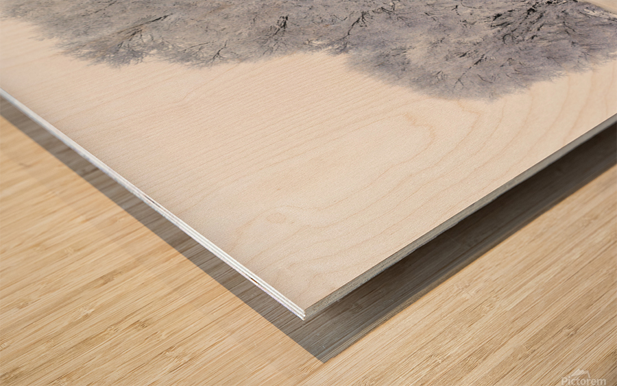 Hoarfrost in Minnesota Wood print