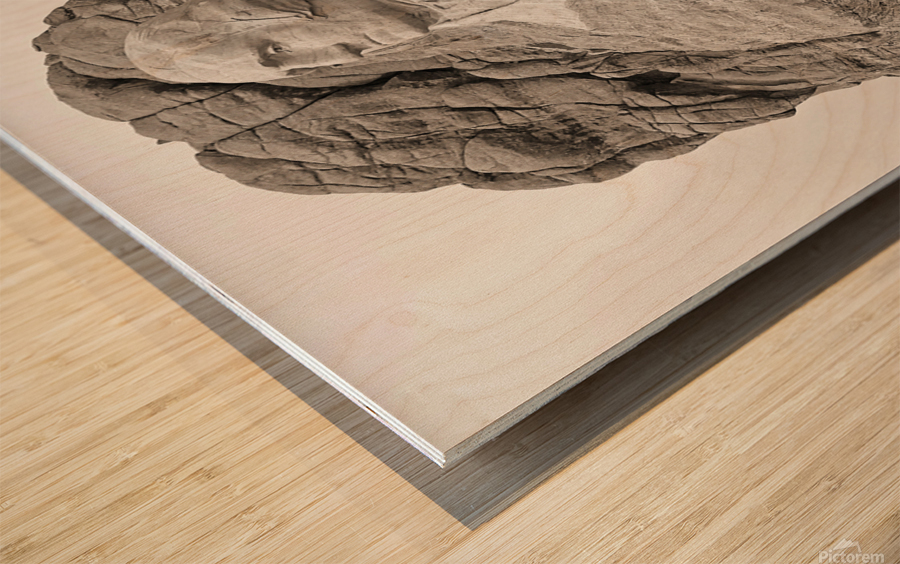 Mount Rushmore Wood print