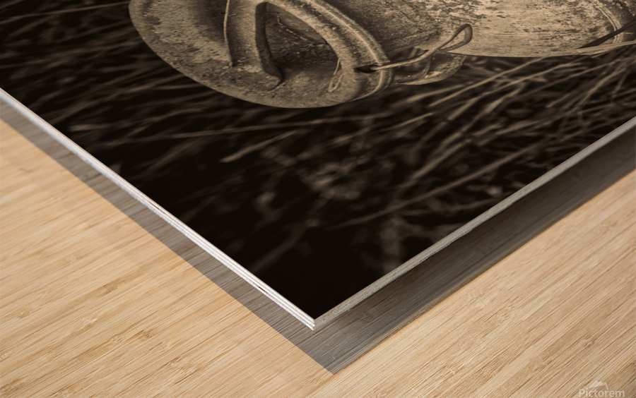 Metal milk can Wood print
