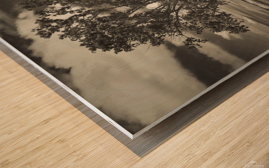 Washington farm plot Wood print