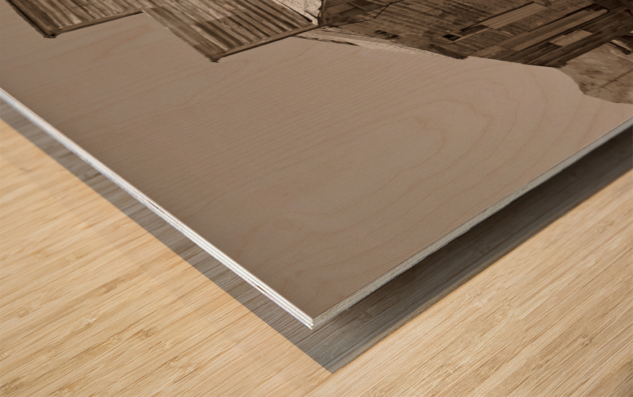  Rhyolite Nevada ghost store Wood print