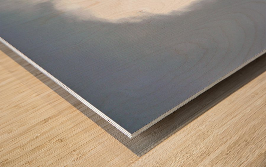  Blue ice glacier Chile Wood print