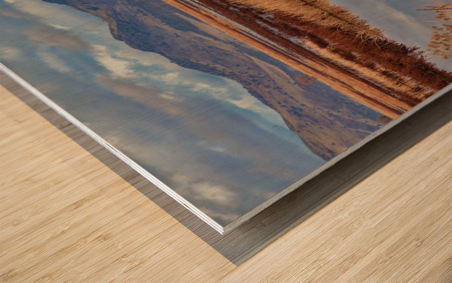  Klamath Refuge Hawk Wood print