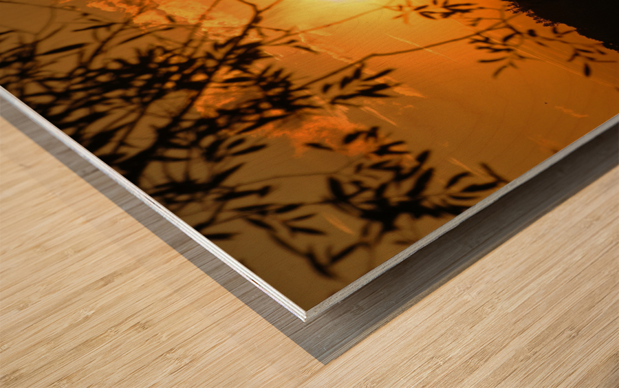 Sunset on Turtle Lake Wood print