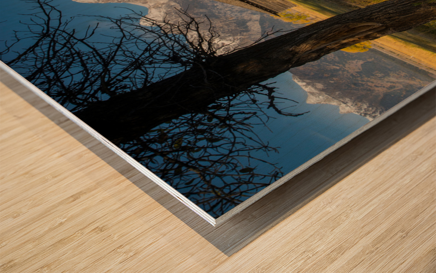 Abandoned Mormon Row Wood print