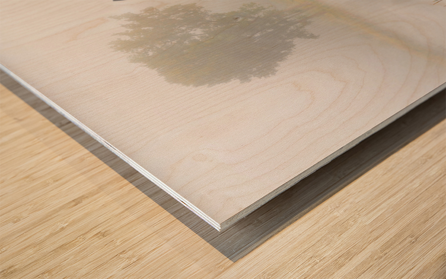 Crane over inland waters  Wood print