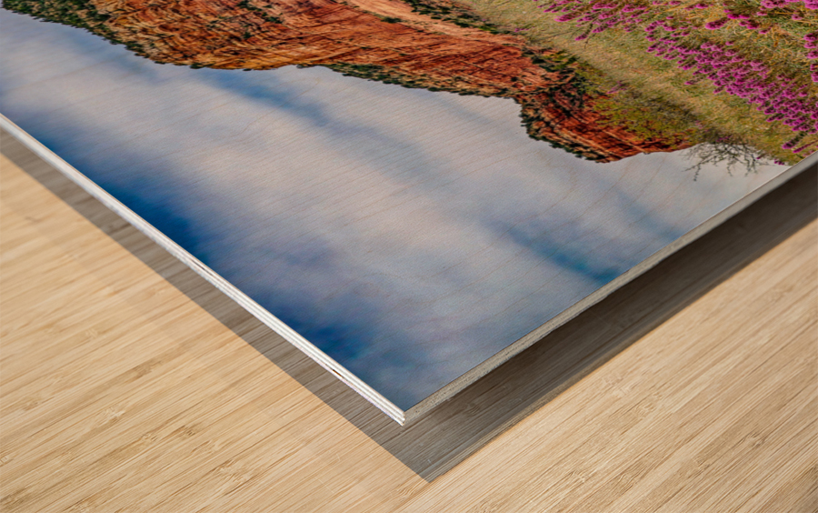 Owls Clover in Sedona Wood print